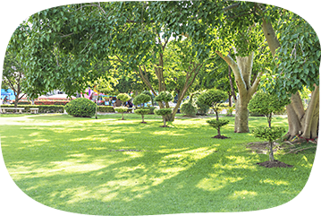 特別養護⽼⼈ホーム昭寿苑は利⽤者様・ご家族様の幸せづくりをサポートします。